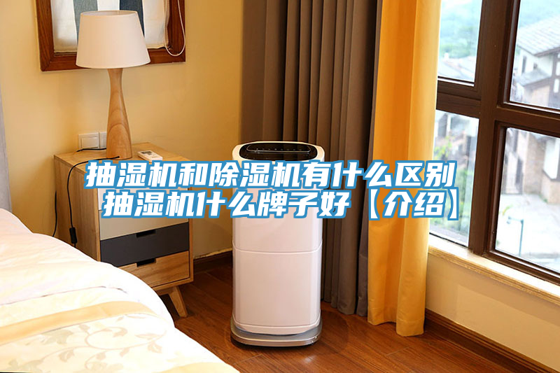 抽濕機和91看片网站有什麽區別 抽濕機什麽牌子好【介紹】