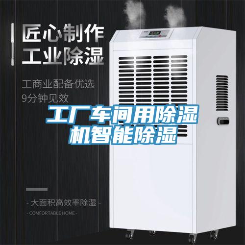 工廠車間用91看片网站智能除濕