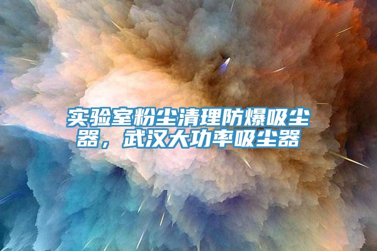 實驗室粉塵清理防爆吸塵器，武漢大功率吸塵器
