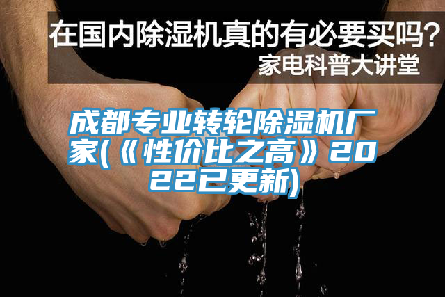 成都專業轉輪91看片网站廠家(《性價比之高》2022已更新)
