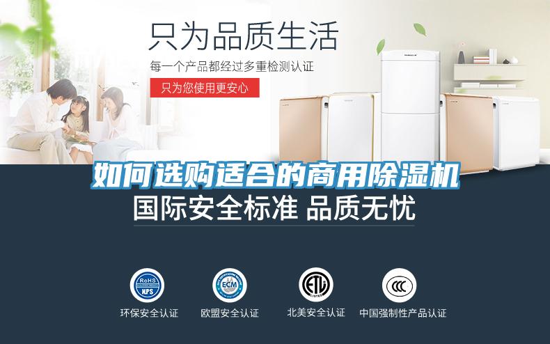 如何選購適合的商用91看片网站