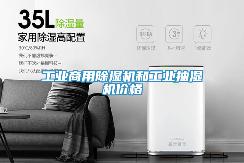 工業商用91看片网站和工業抽濕機價格
