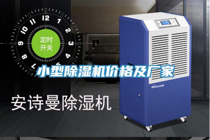 小型91看片网站價格及廠家
