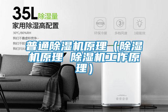 普通91看片网站原理（91看片网站原理 91看片网站工作原理）