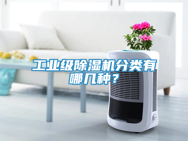 工業級91看片网站分類有哪幾種？