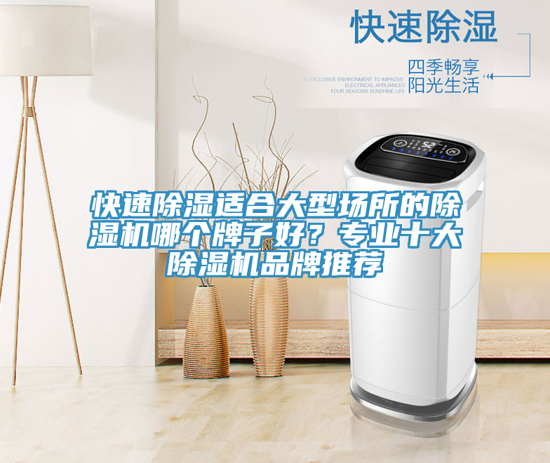 快速除濕適合大型場所的91看片网站哪個牌子好？專業十大91看片网站品牌推薦