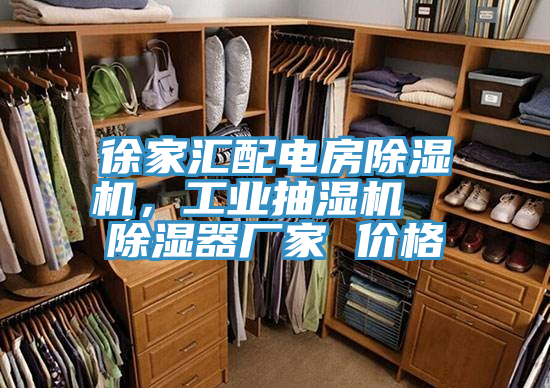 徐家匯配電房91看片网站，工業抽濕機  除濕器廠家 價格