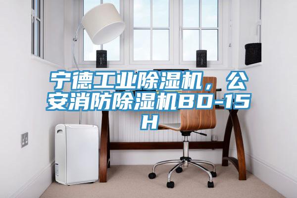 寧德工業91看片网站，公安消防91看片网站BD-15H