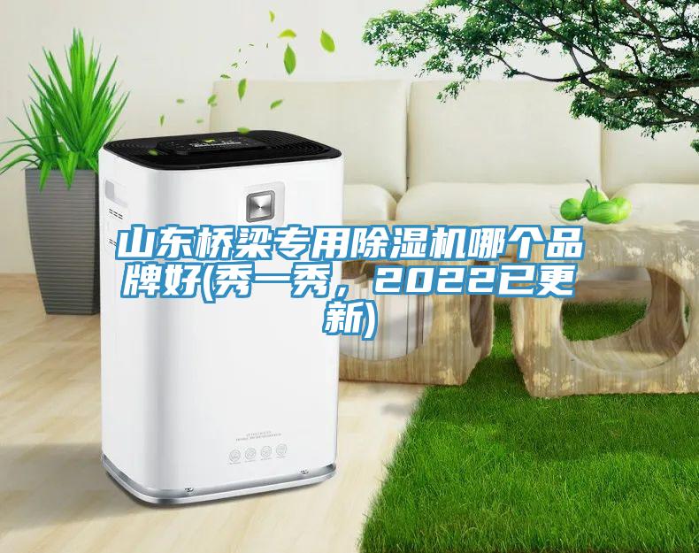 山東橋梁專用91看片网站哪個品牌好(秀一秀，2022已更新)