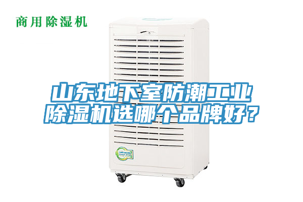 山東地下室防潮工業91看片网站選哪個品牌好？