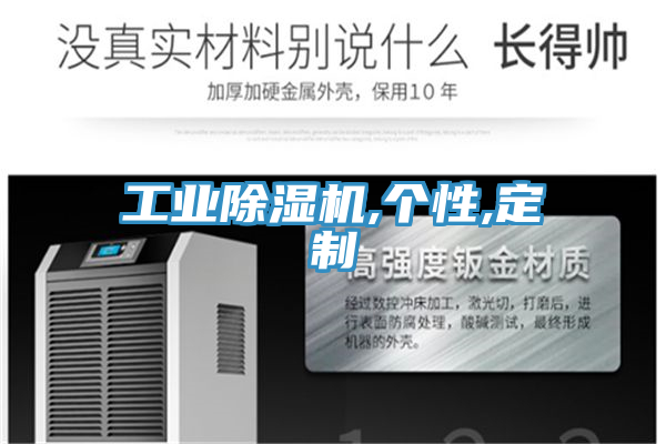 工業91看片网站,個性,定製