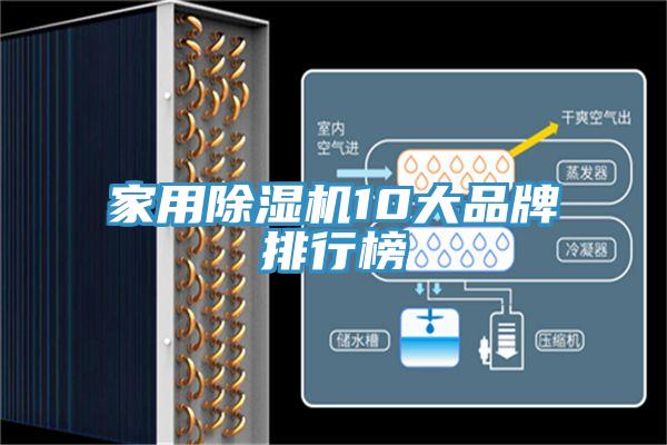 家用91看片网站10大品牌排行榜