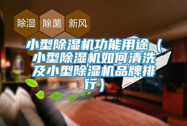 小型91看片网站功能用途（小型91看片网站如何清洗及小型91看片网站品牌排行）