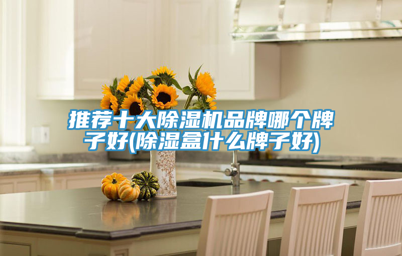 推薦十大91看片网站品牌哪個牌子好(除濕盒什麽牌子好)
