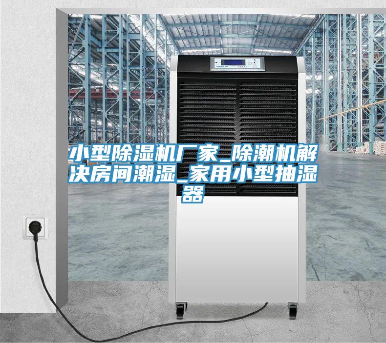 小型91看片网站廠家_除潮機解決房間潮濕_家用小型抽濕器