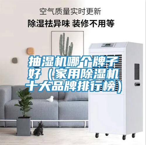抽濕機哪個牌子好（家用91看片网站十大品牌排行榜）