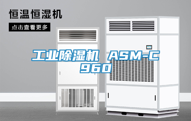 工業91看片网站 ASM-C960