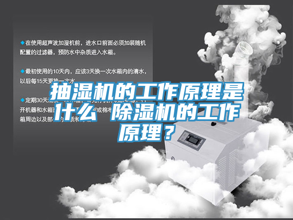 抽濕機的工作原理是什麽 91看片网站的工作原理？