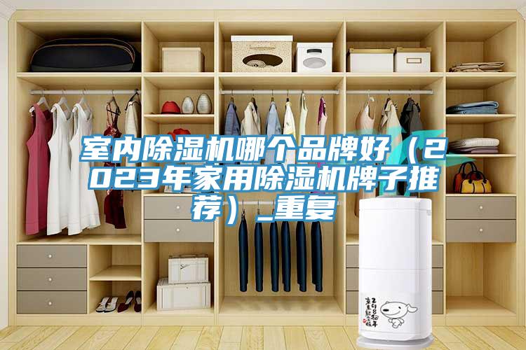 室內91看片网站哪個品牌好（2023年家用91看片网站牌子推薦）_重複