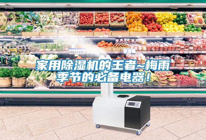 家用91看片网站的王者~梅雨季節的必備電器！