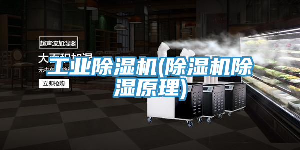 工業91看片网站(91看片网站除濕原理)