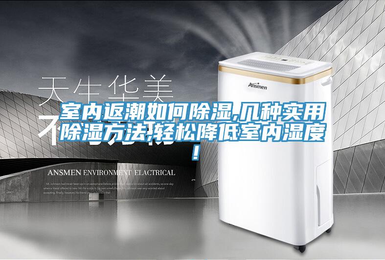 室內返潮如何除濕,幾種實用除濕方法,輕鬆降低室內濕度！