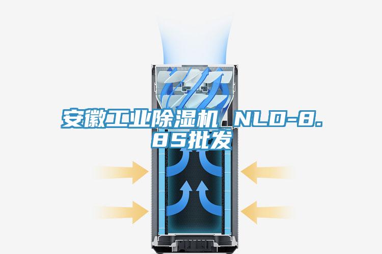 安徽工業91看片网站 NLD-8.8S批發
