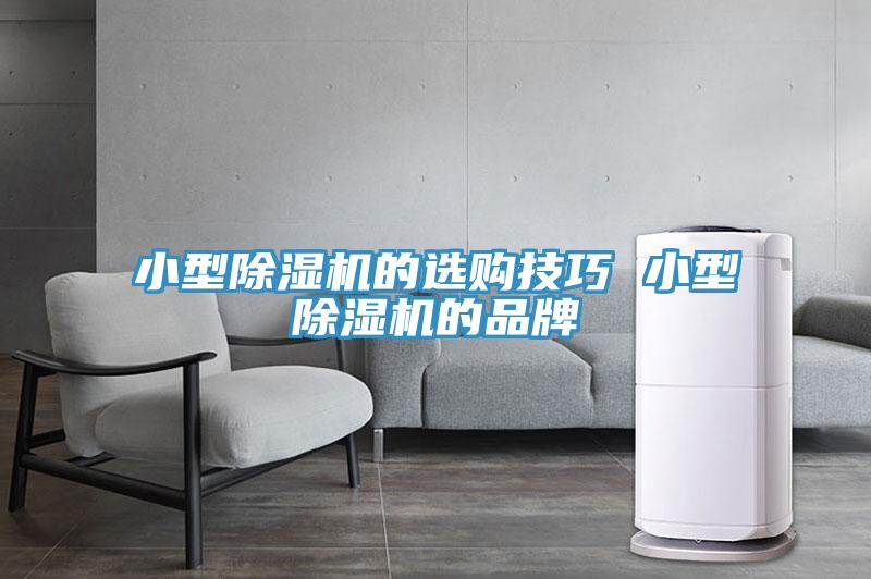 小型91看片网站的選購技巧 小型91看片网站的品牌