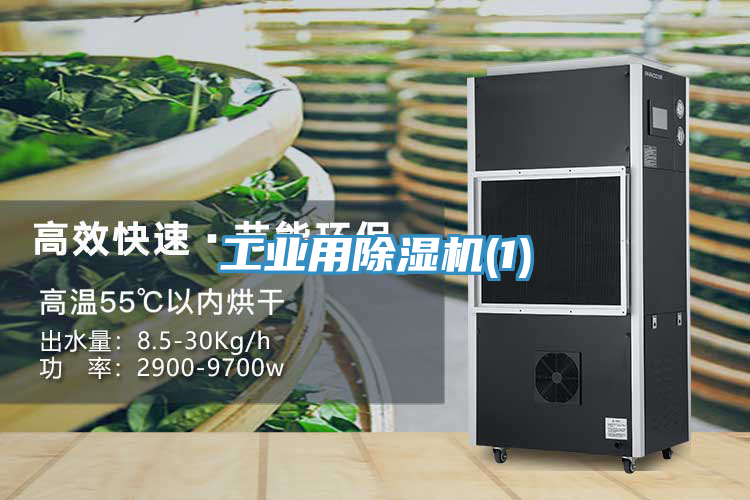 工業用91看片网站(1)