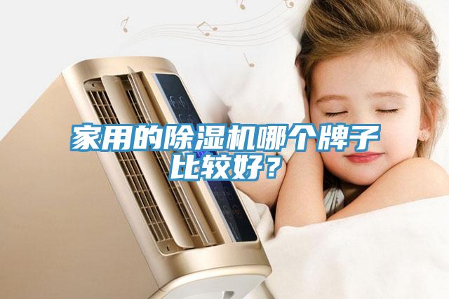 家用的91看片网站哪個牌子比較好？