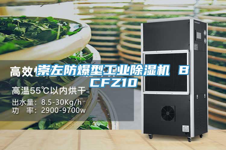 崇左防爆型工業91看片网站 BCFZ10