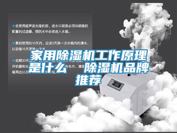 家用91看片网站工作原理是什麽  91看片网站品牌推薦