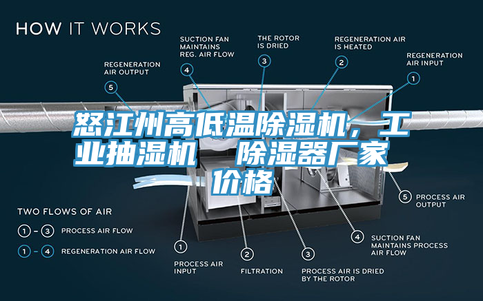 怒江州高低溫91看片网站，工業抽濕機  除濕器廠家 價格
