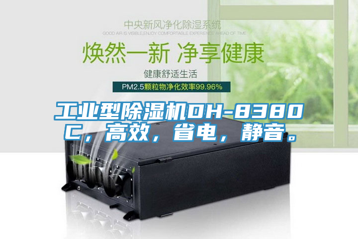 工業型91看片网站DH-8380C，高效，省電，靜音。