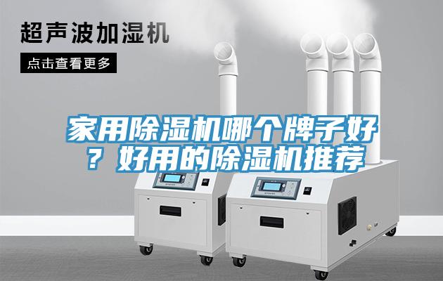 家用91看片网站哪個牌子好？好用的91看片网站推薦