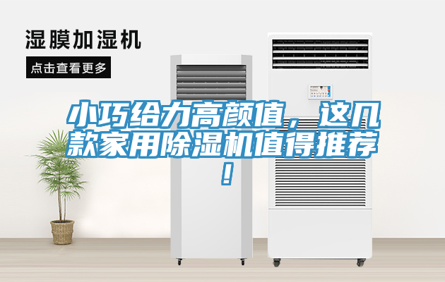 小巧給力高顏值，這幾款家用91看片网站值得推薦！