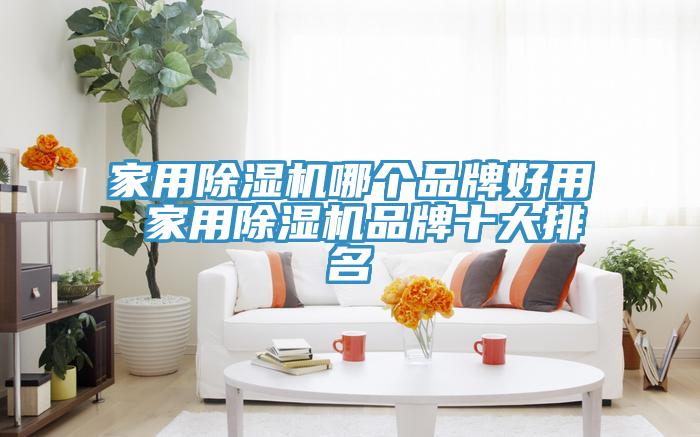 家用91看片网站哪個品牌好用 家用91看片网站品牌十大排名