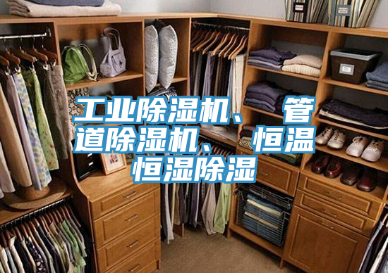 工業91看片网站、 管道91看片网站、 恒溫恒濕除濕