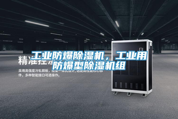 工業防爆91看片网站，工業用防爆型91看片网站組
