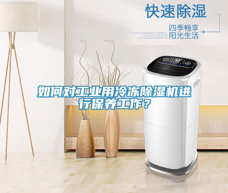 如何對工業用冷凍91看片网站進行保養工作？