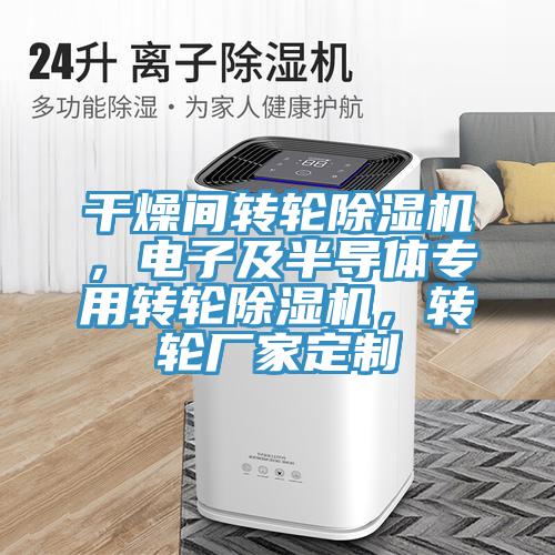 幹燥間轉輪91看片网站，電子及半導體專用轉輪91看片网站，轉輪廠家定製