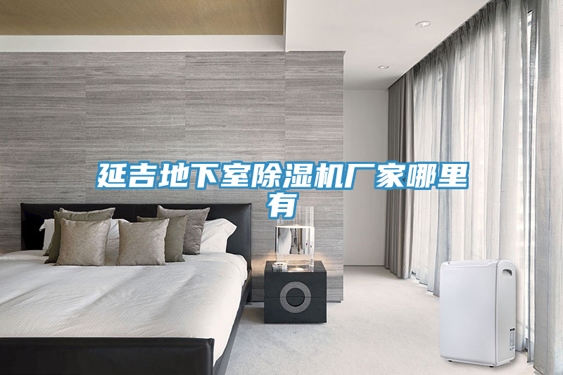 延吉地下室91看片网站廠家哪裏有