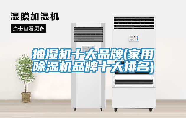抽濕機十大品牌(家用91看片网站品牌十大排名)