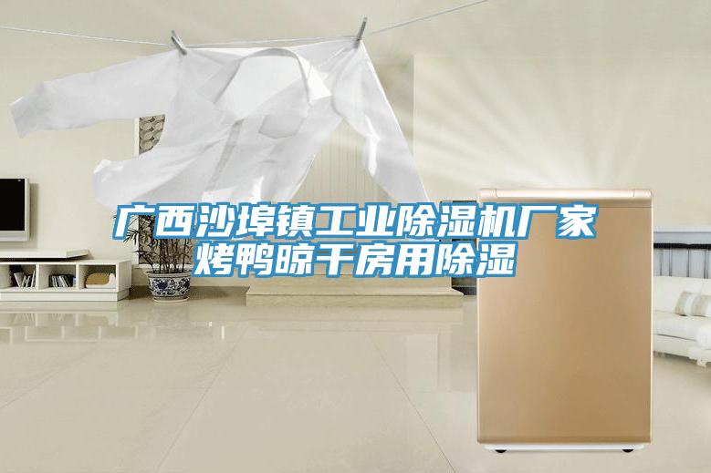 廣西沙埠鎮工業91看片网站廠家烤鴨晾幹房用除濕