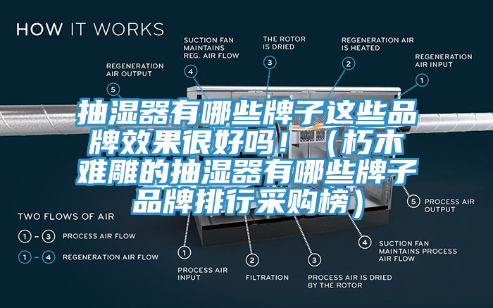抽濕器有哪些牌子這些品牌效果很好嗎！（朽木難雕的抽濕器有哪些牌子品牌排行采購榜）
