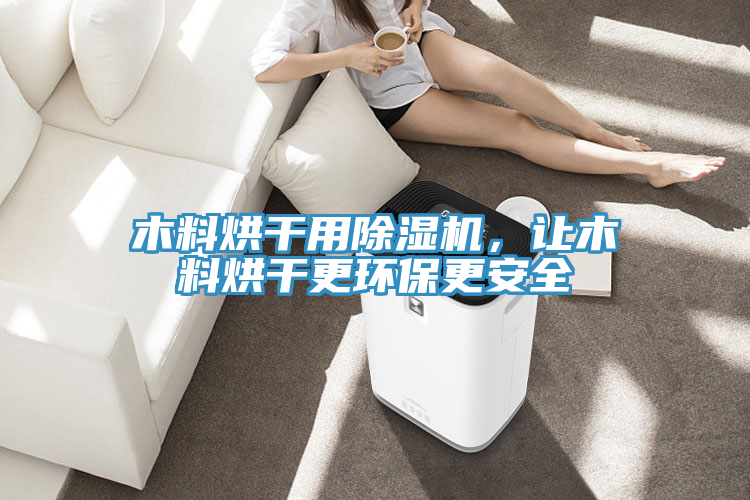 木料烘幹用91看片网站，讓木料烘幹更環保更安全