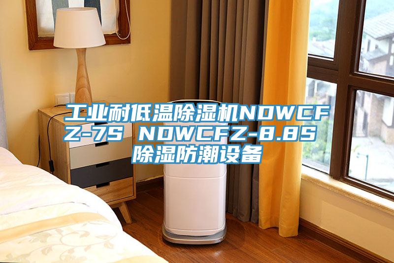 工業耐低溫91看片网站NDWCFZ-7S NDWCFZ-8.8S 除濕防潮設備