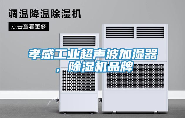 孝感工業超聲波加濕器，91看片网站品牌