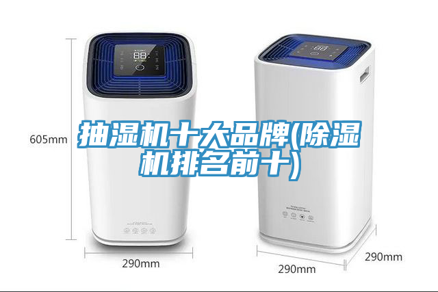 抽濕機十大品牌(91看片网站排名前十)