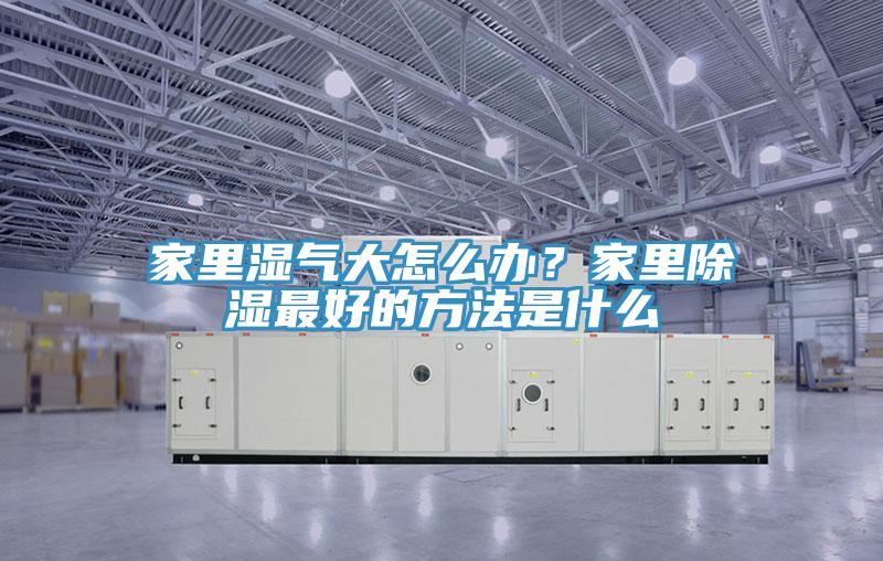 家裏濕氣大怎麽辦？家裏除濕最好的方法是什麽